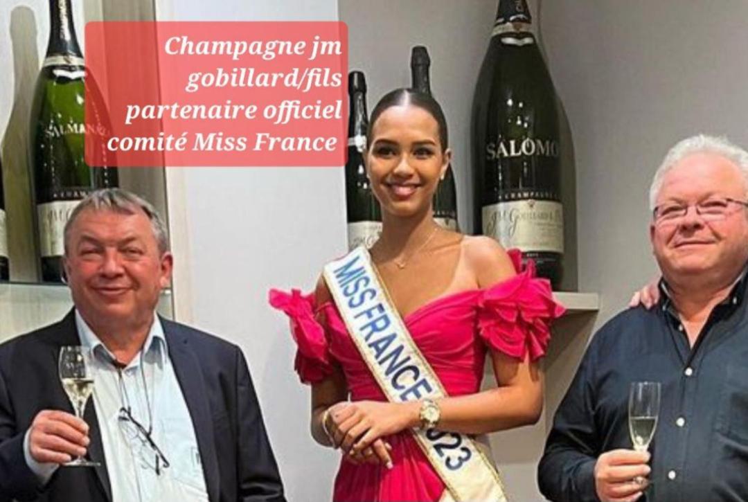 Les Loges du Theatre: Champagne-Central House with Games Epernay Exterior photo